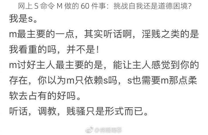 网上 S 命令 M 做的 60 件事：挑战自我还是道德困境？