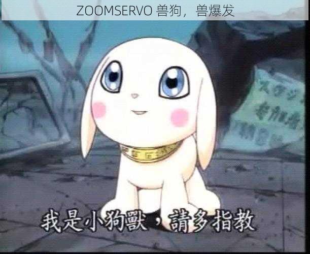 ZOOMSERVO 兽狗，兽爆发